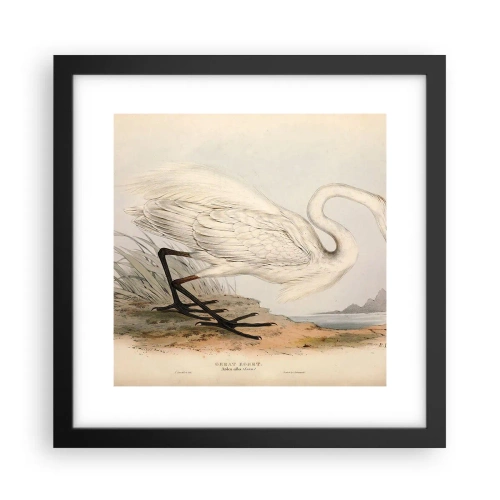 Poster in black frame - Lady on the Marsh - 30x30 cm