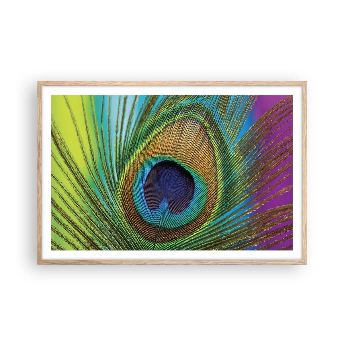 Poster in light oak frame - Eye to Eye - 91x61 cm
