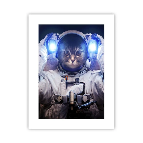 Poster - Houston, You've Got a Problem - 30x40 cm