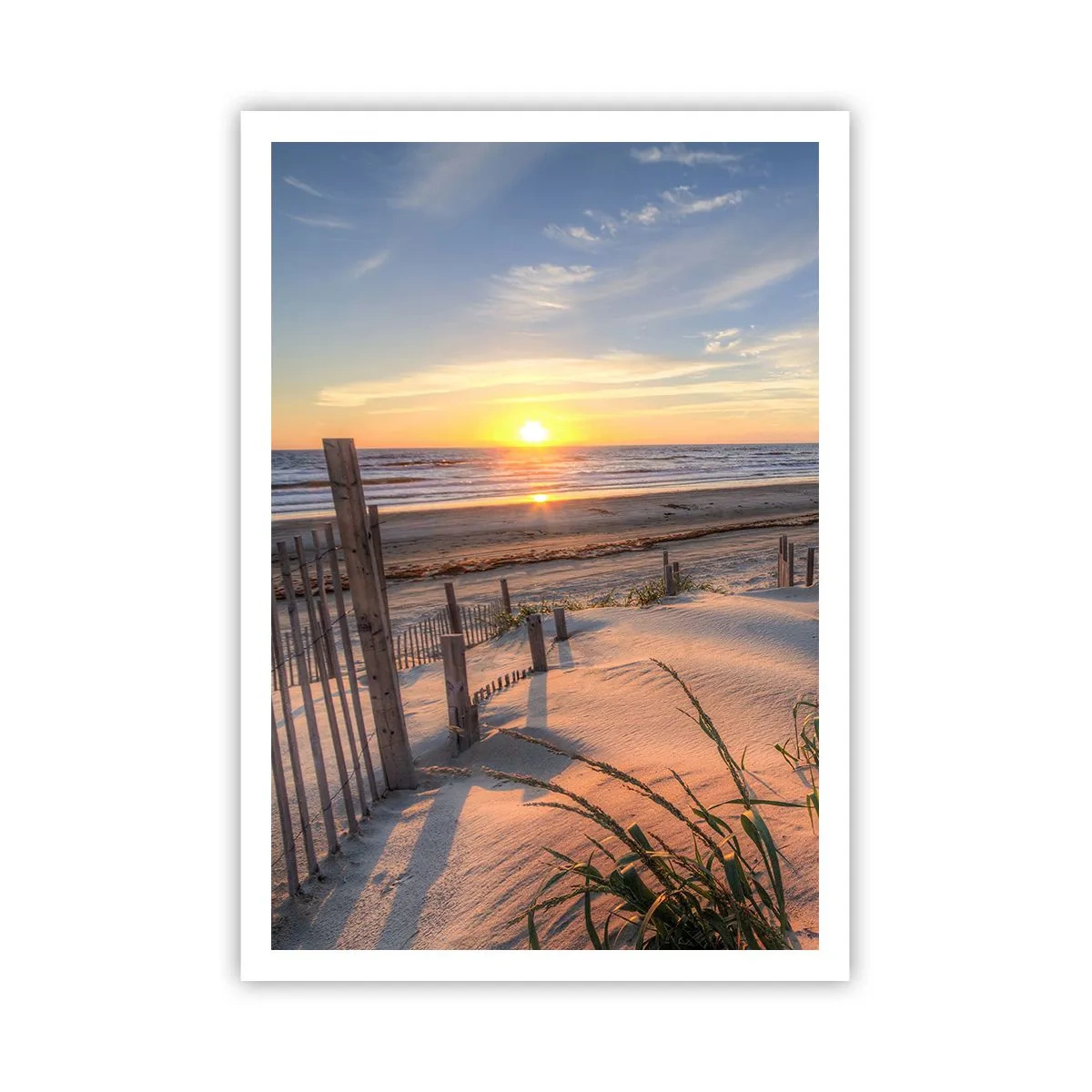 Poster - Light and Shade of the Wind - 70x100 cm