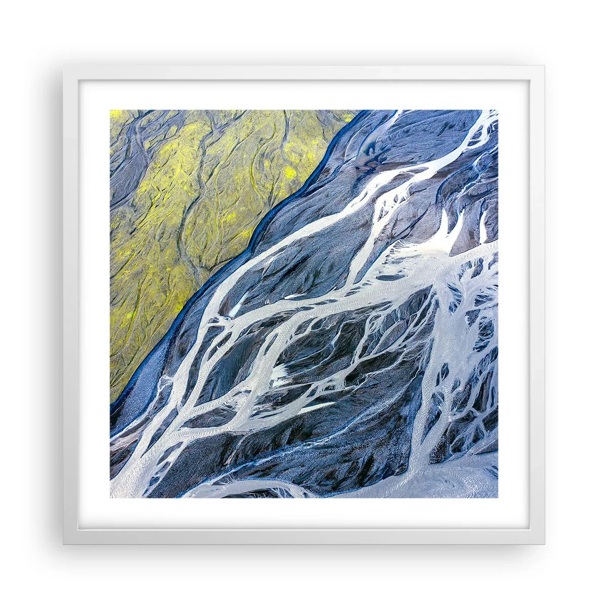 Poster in white frmae - Cave Paintings of Nature - 50x50 cm