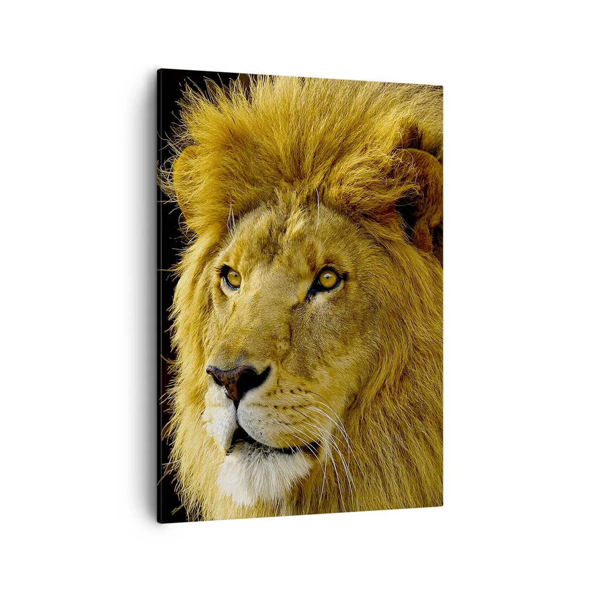 Canvas picture - Portrait of a King - 50x70 cm
