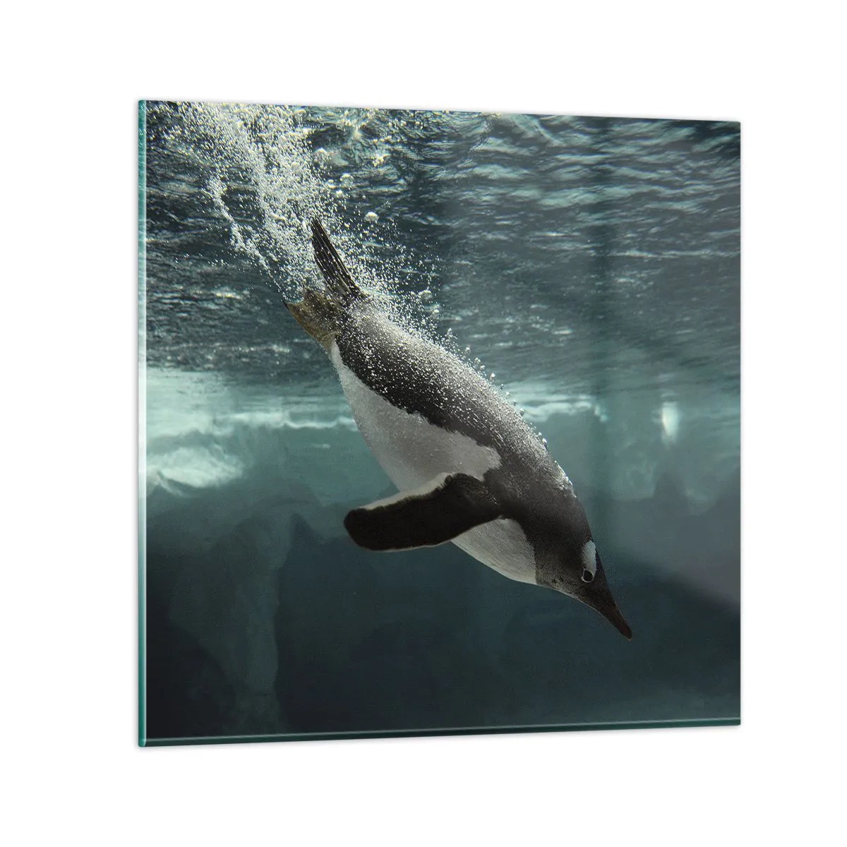 Glass picture - Welcome to My World - 60x60 cm