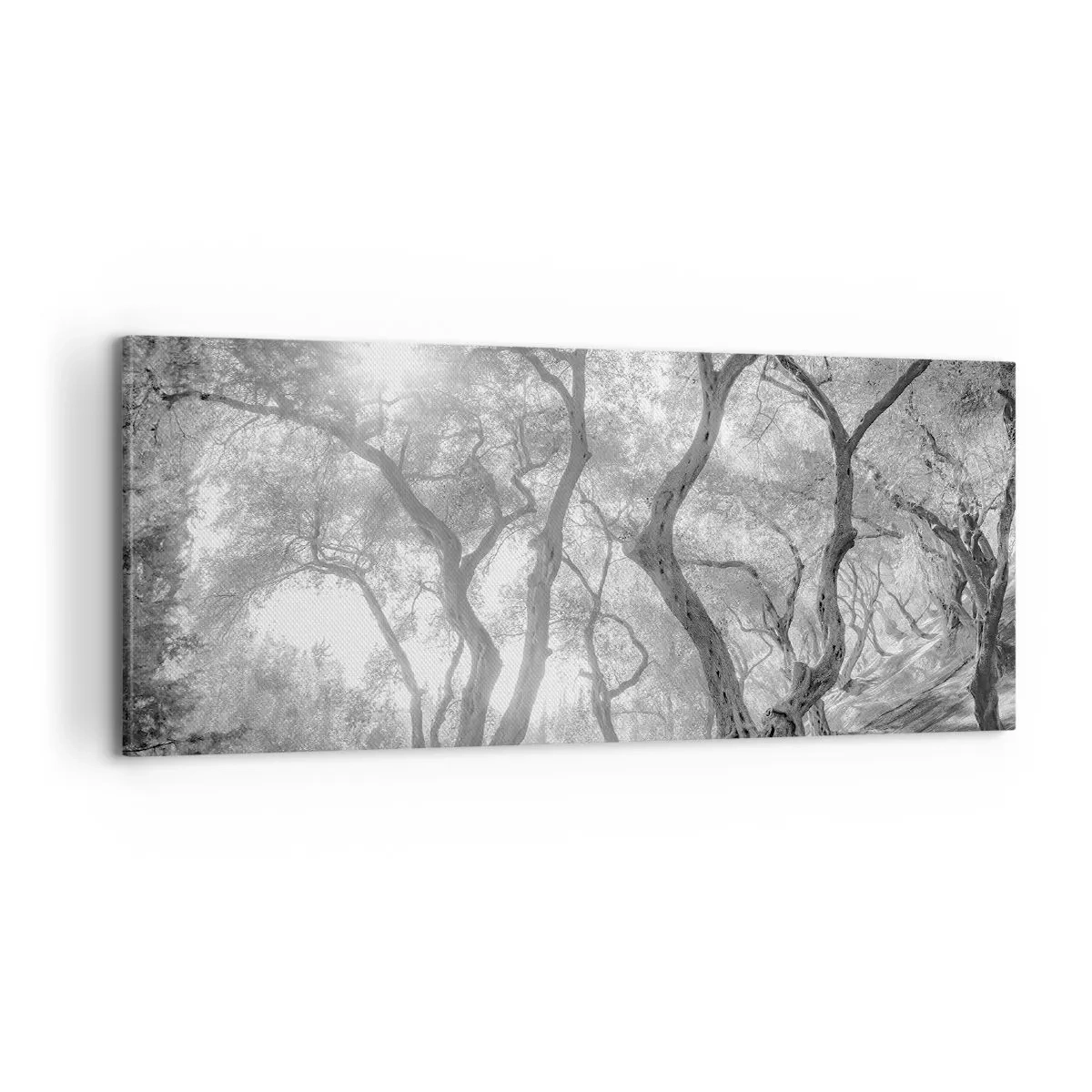 Canvas picture - In an Olive Grove - 100x40 cm