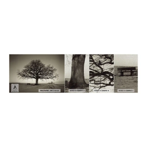 Photo Wallpaper Sample Premium Canvas - From Here to Eternity - Landscape, Tree, Nature - 100x30 cm