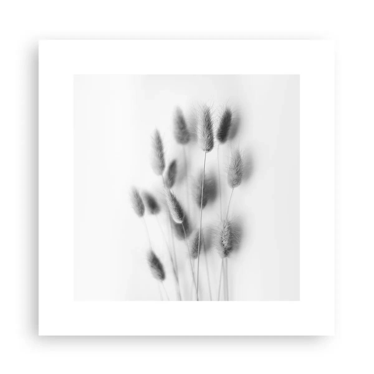 Poster - Her Softness Grass - 30x30 cm