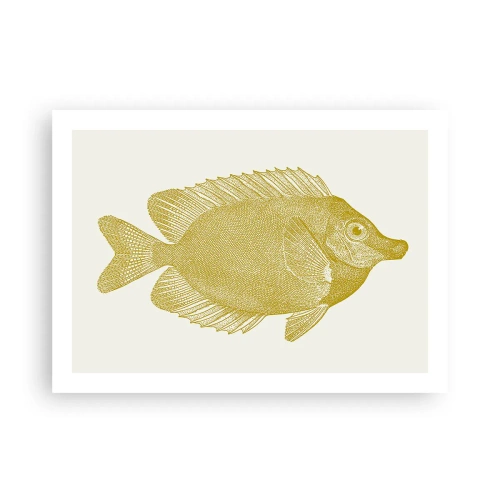 Poster - Just a Fish - 70x50 cm