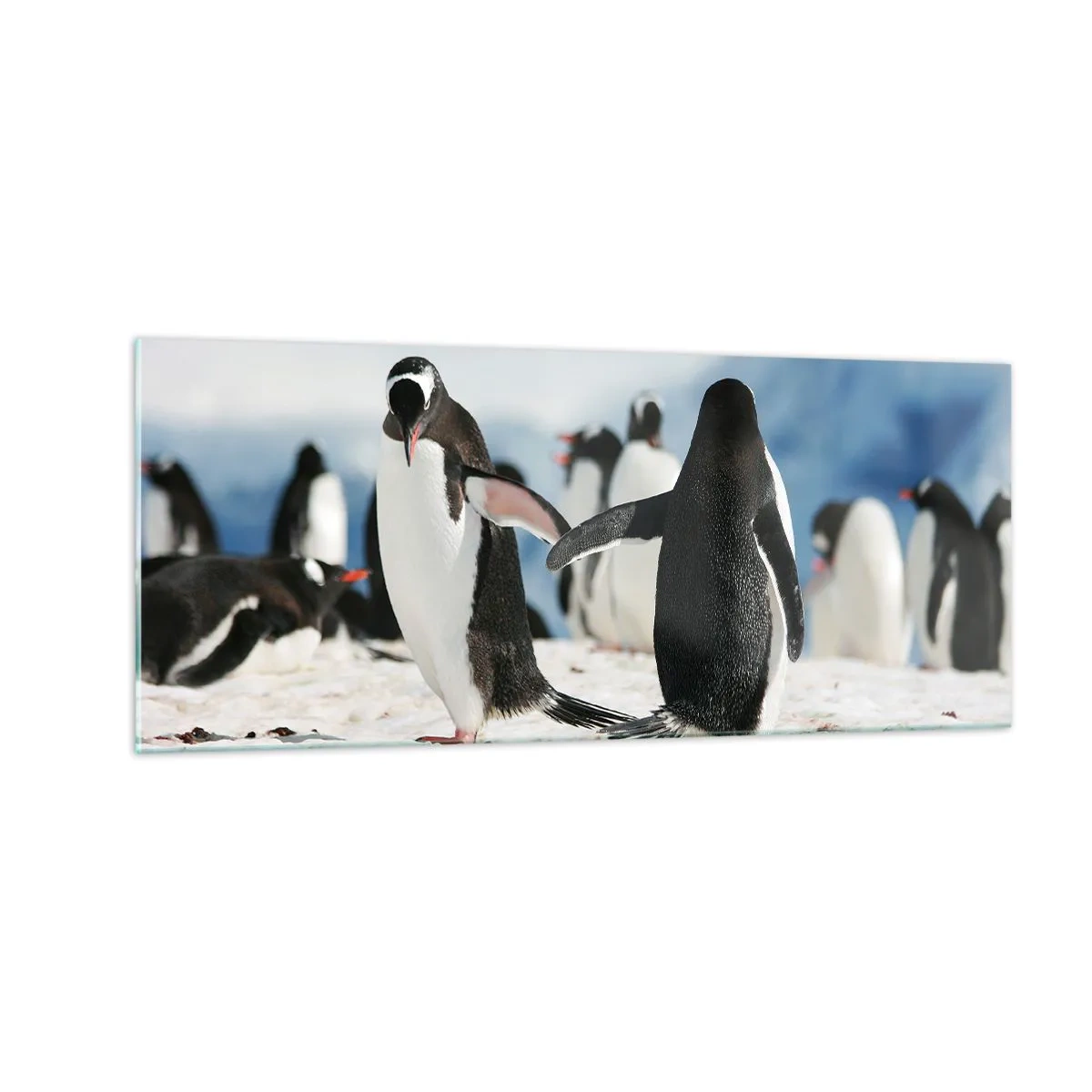 Glass picture - Dance in the Snow - 100x40 cm