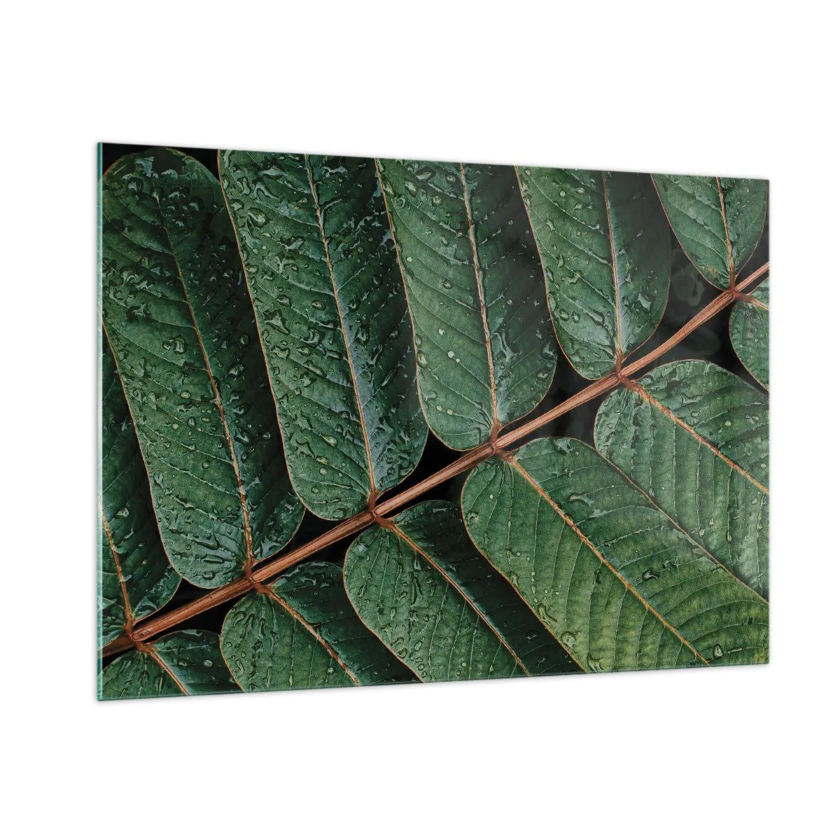 Glass picture - In Green Rhythm - 100x70 cm