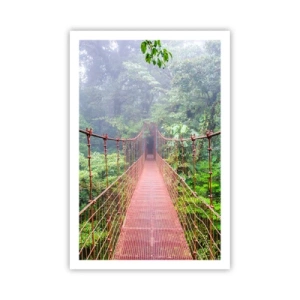 Poster - Suspended above Crowns - 61x91 cm