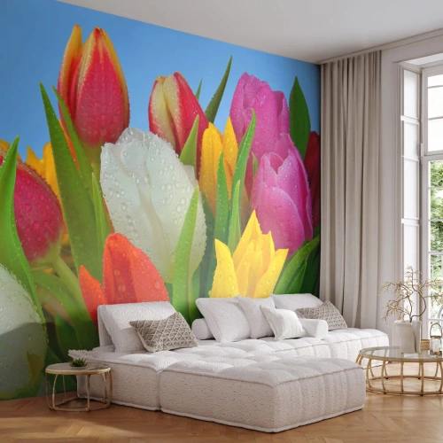 Photo Wallpaper Premium Canvas - Floral Rainbow in Dew Drops - Tulips, Flowers, Bouquet of flowers - 450x315 cm