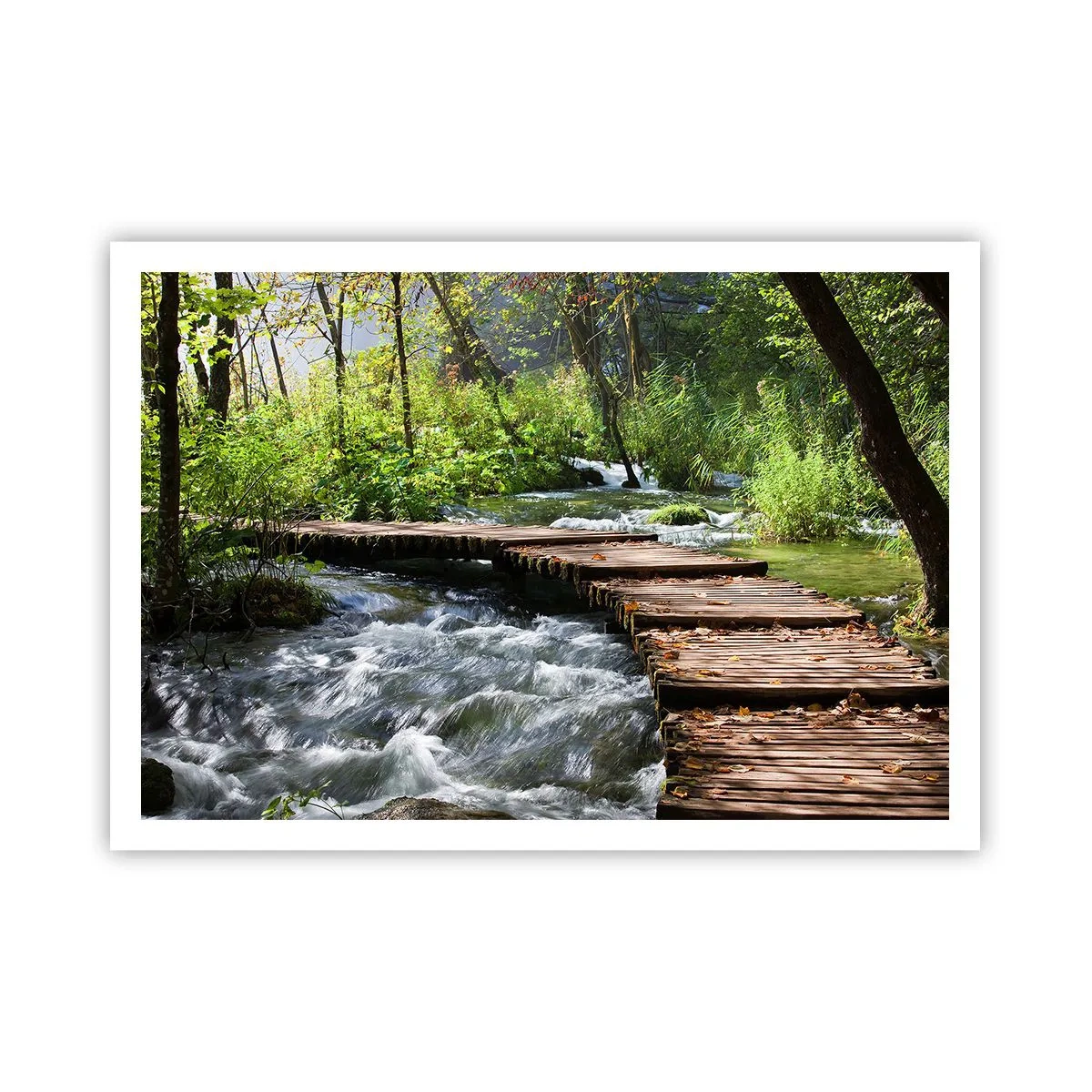 Poster - By the Foamy Cascade - 100x70 cm