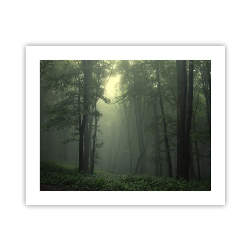 Poster - Before It Wakes Up - 50x40 cm