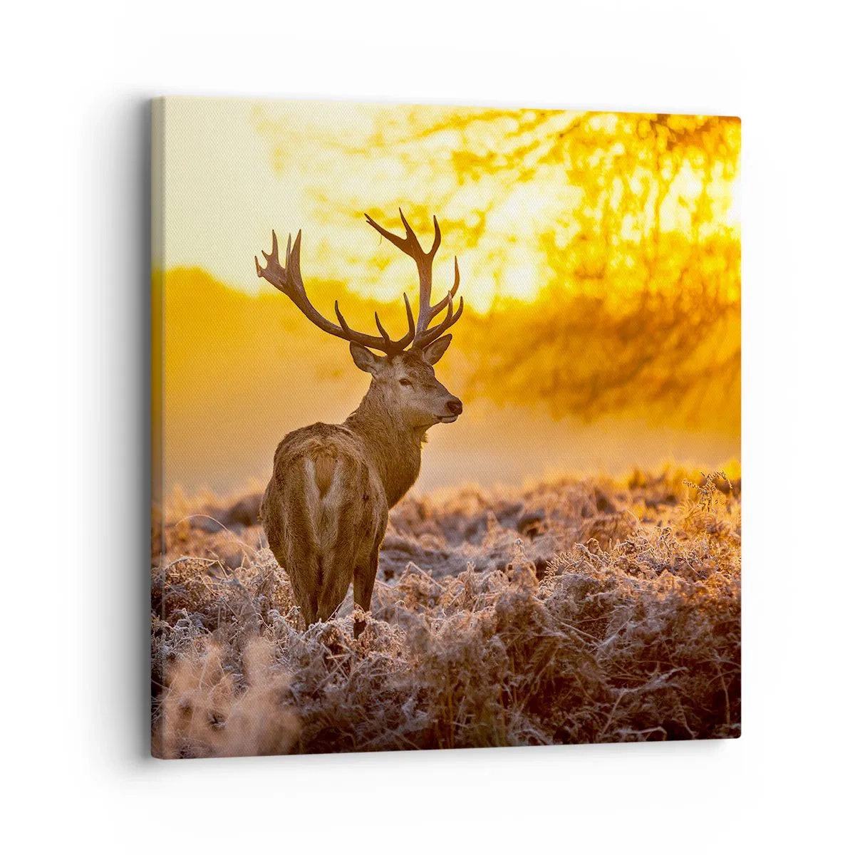 Canvas picture - King of Autumnal Forest - 30x30 cm