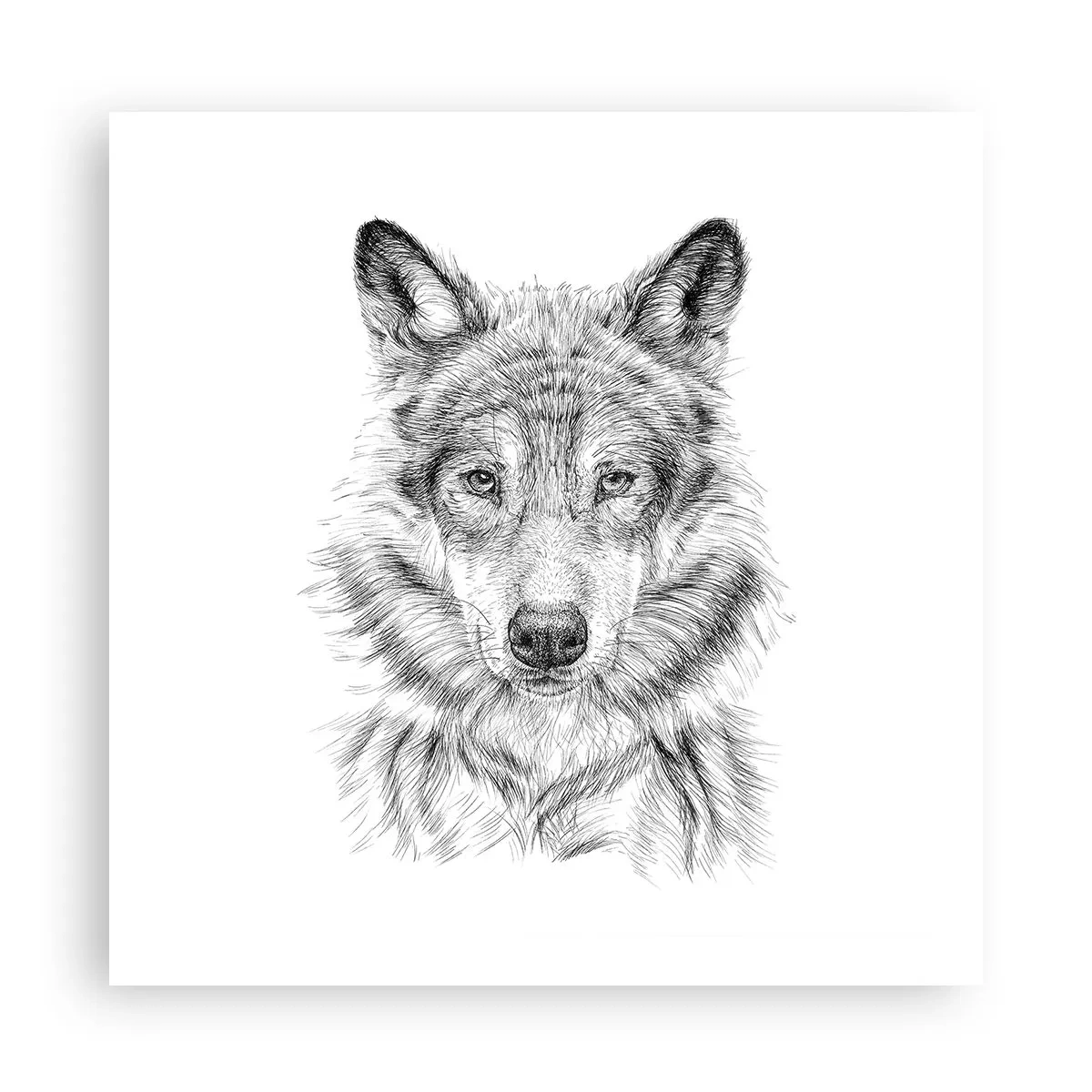 Poster - Born Leader - 60x60 cm