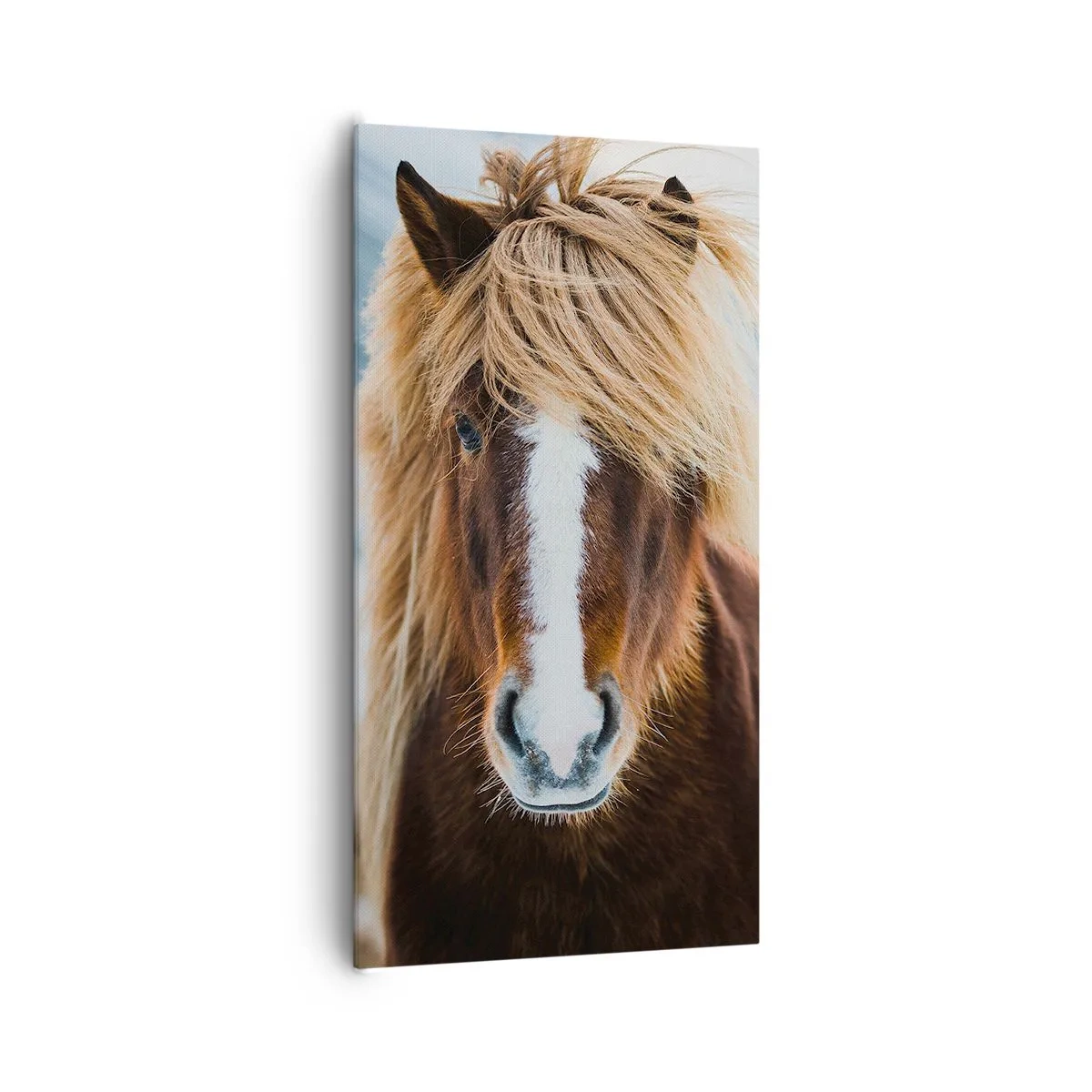 Canvas picture - Can You Feel the Freedom? - 65x120 cm