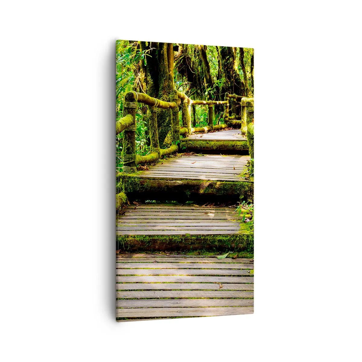 Canvas picture - Down the Green Path - 55x100 cm