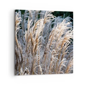 Canvas picture - Decorated with Frost - 50x50 cm