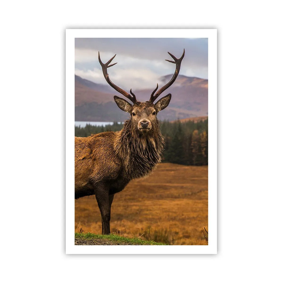 Poster - Majesty of Nature - 61x91 cm