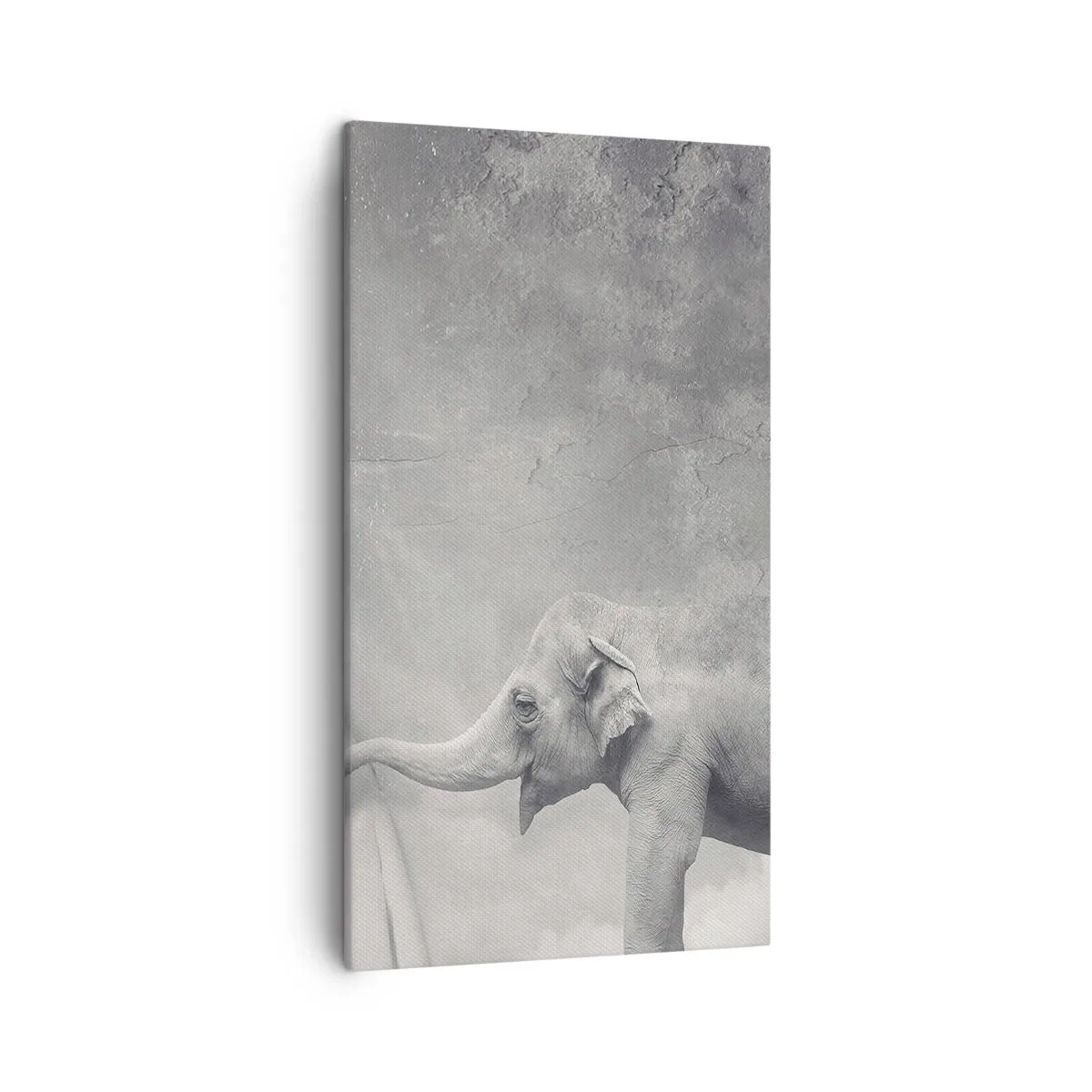 Canvas picture - Uncover the Secret - 45x80 cm