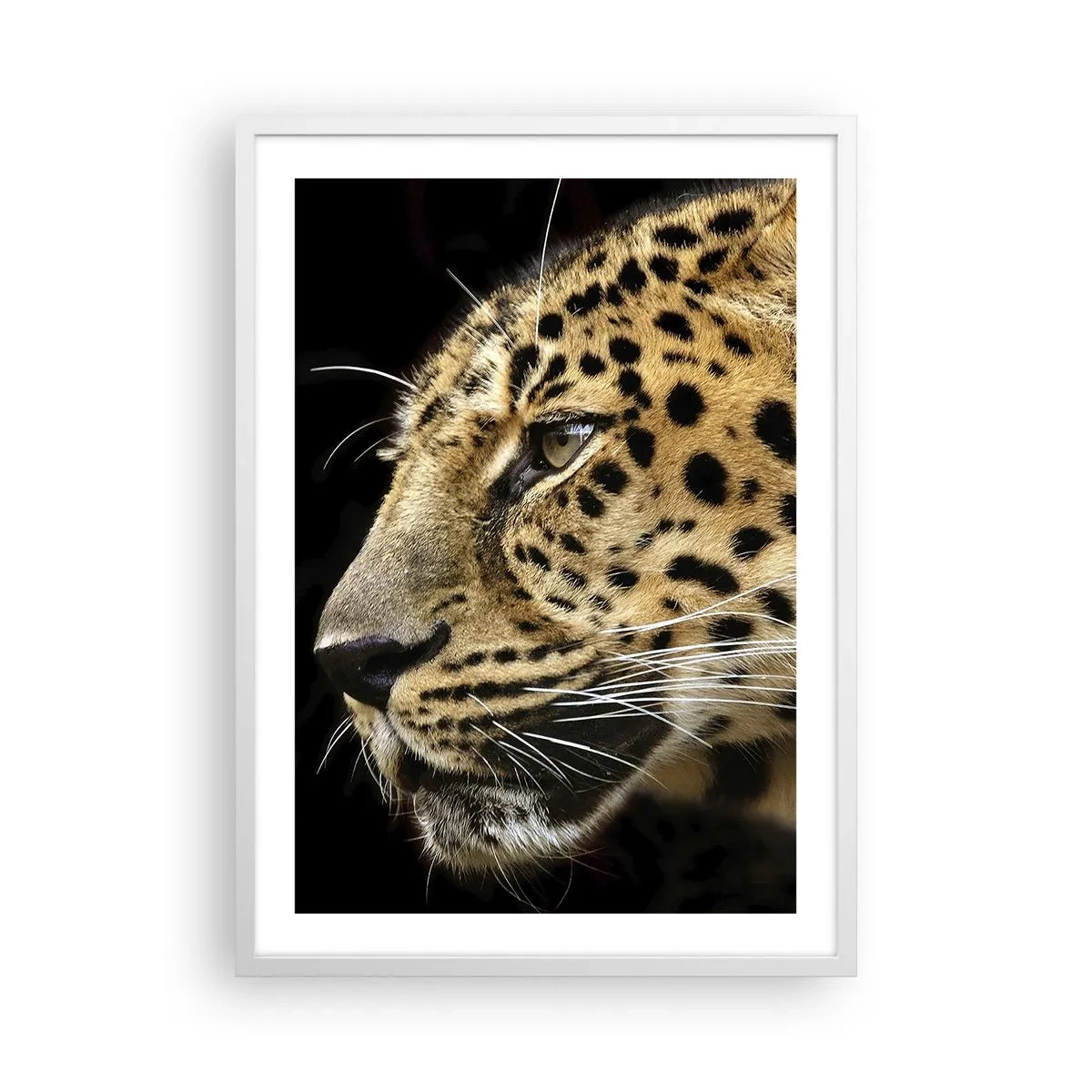 Poster in white frmae - Calm, Focused, Ready - 50x70 cm