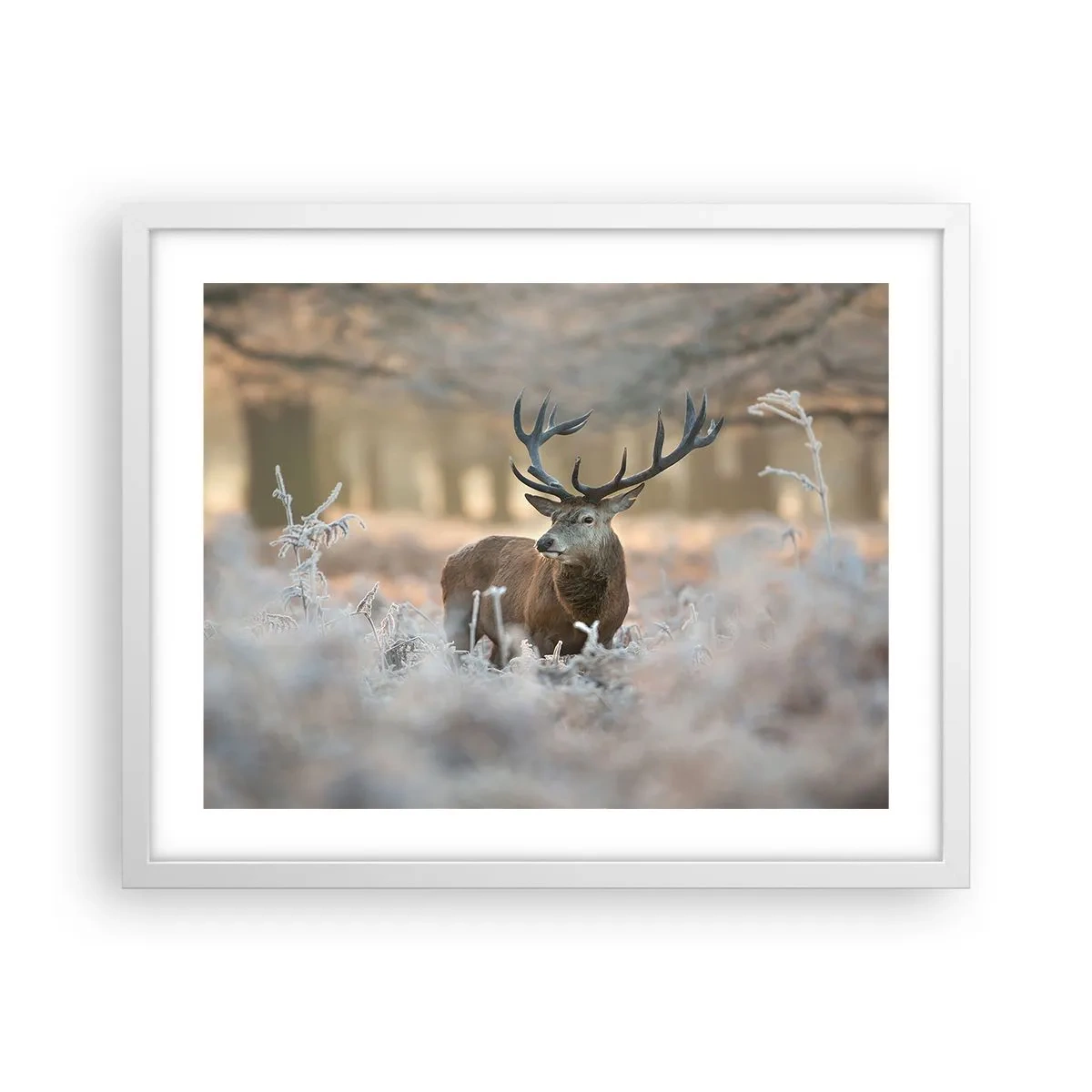 Poster in white frmae - Chilly Morning - 50x40 cm