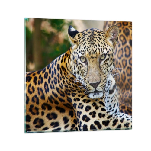 Glass picture - Wild and Calm - 70x70 cm