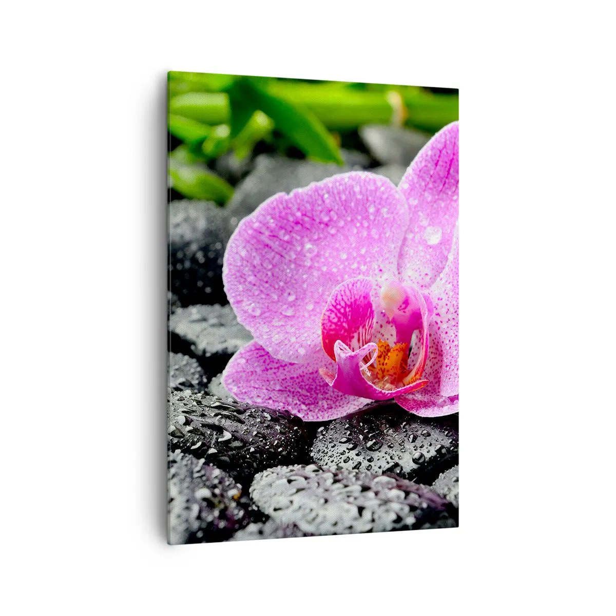 Canvas picture - Like an Open Heart - 70x100 cm