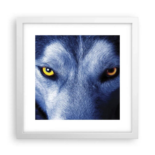 Poster in white frmae - Mesmerising Look - 30x30 cm