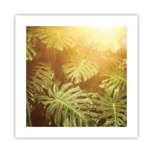 Poster - Walking into the Green - 40x40 cm