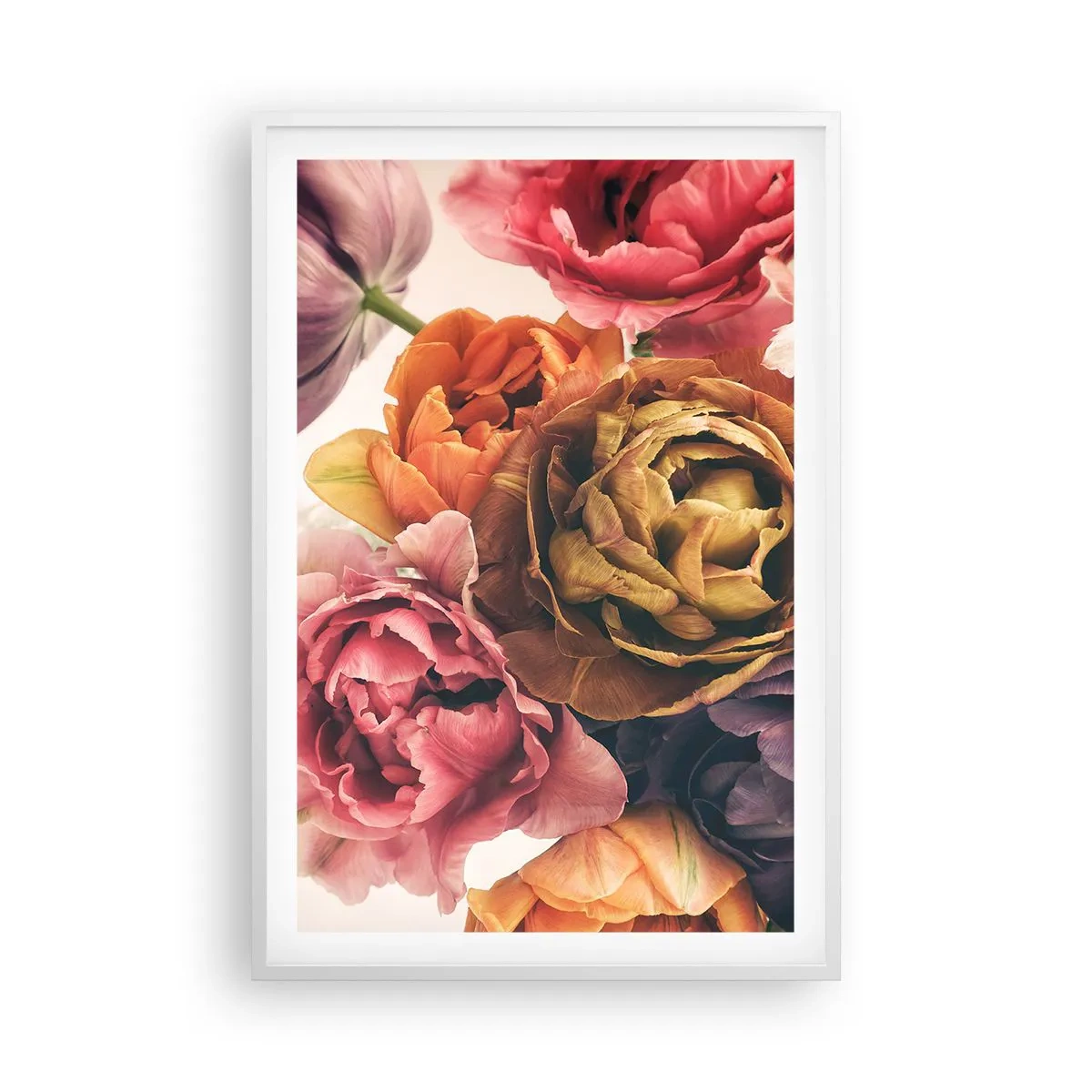 Poster in white frmae - Celebration of Life - 61x91 cm