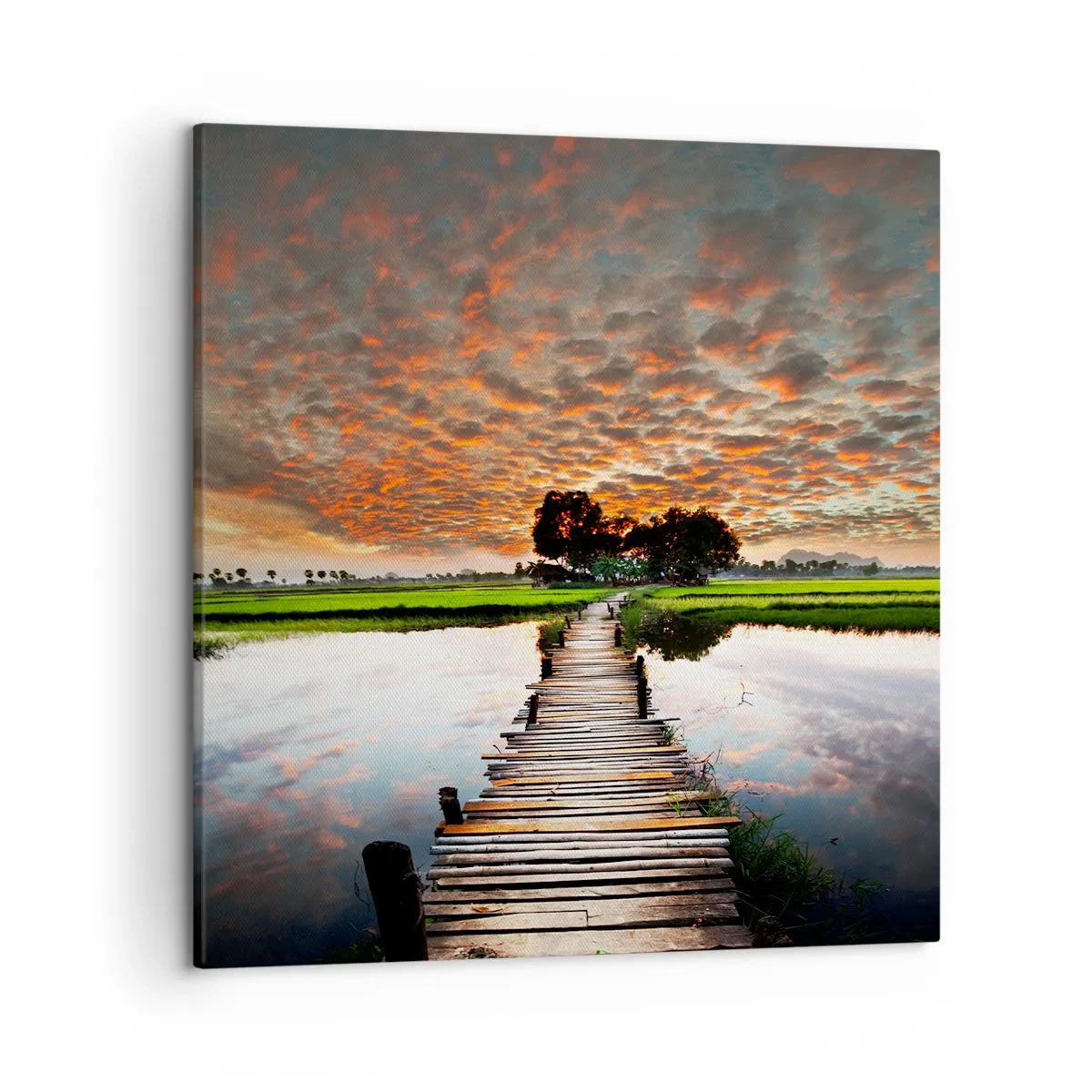 Canvas picture - Spread Your Arms and Breathe - 50x50 cm