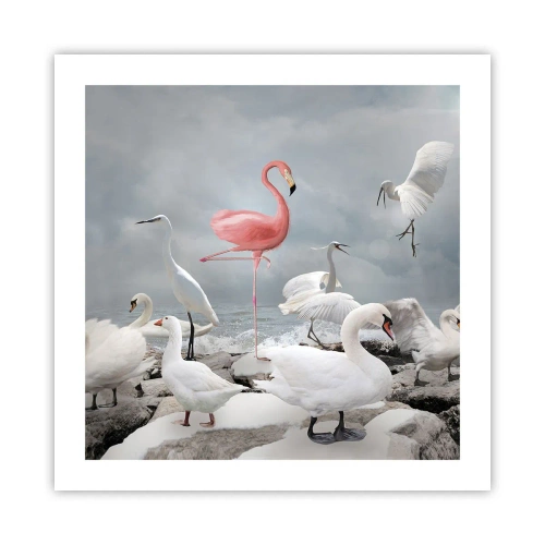 Poster - Where Did I Come from? - 50x50 cm