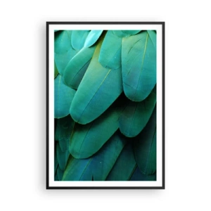 Poster in black frame - Precision of Parrot Nature - 70x100 cm