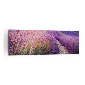 Canvas picture - Fragrant Field - 160x50 cm