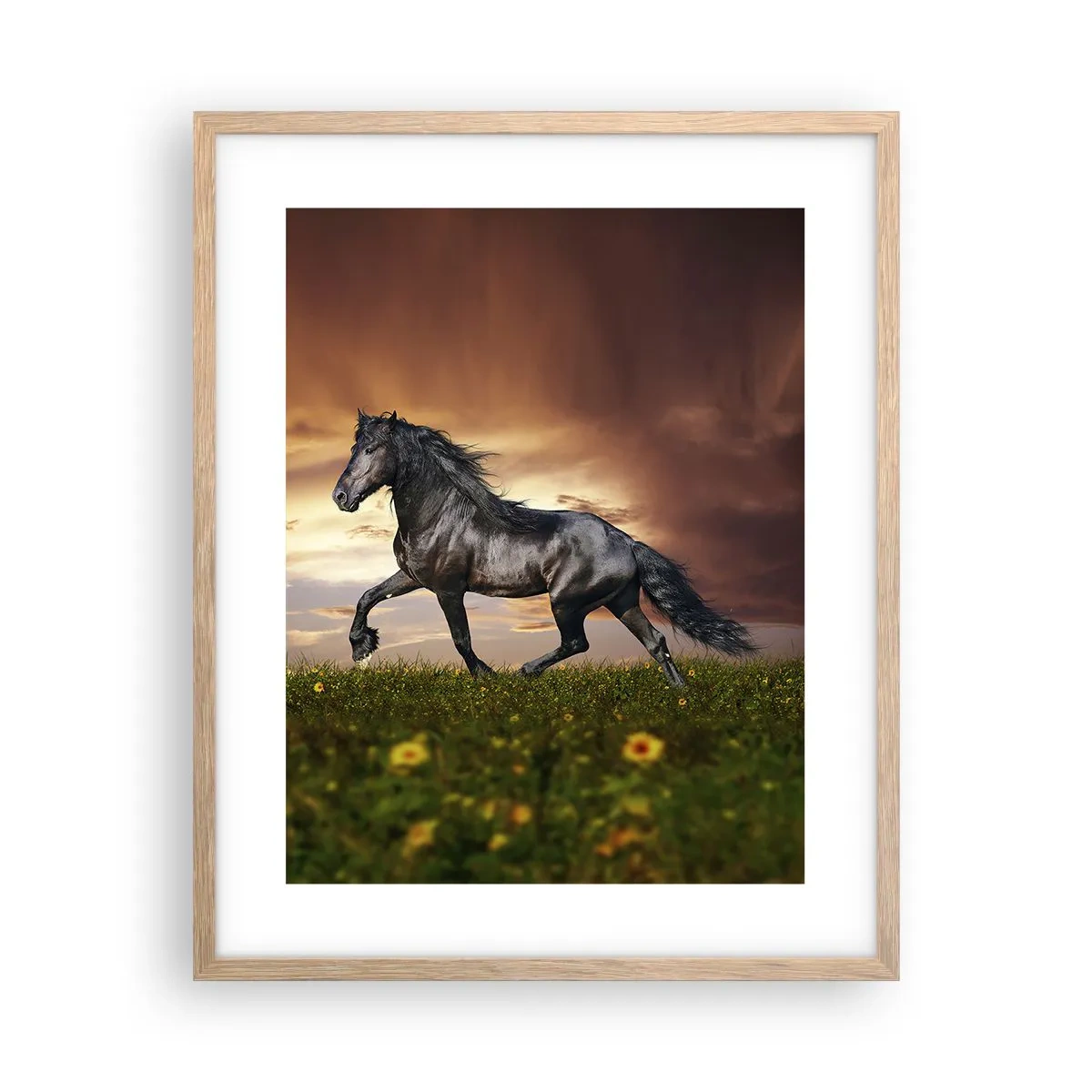 Poster in light oak frame - Black Prince - 40x50 cm