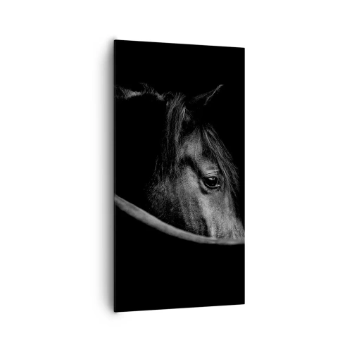 Canvas picture - Black Prince - 65x120 cm