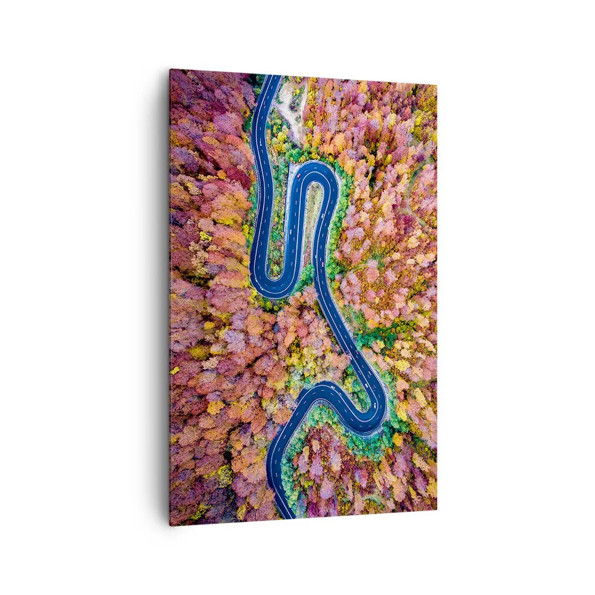 Canvas picture - Winding Path through a Forest - 80x120 cm