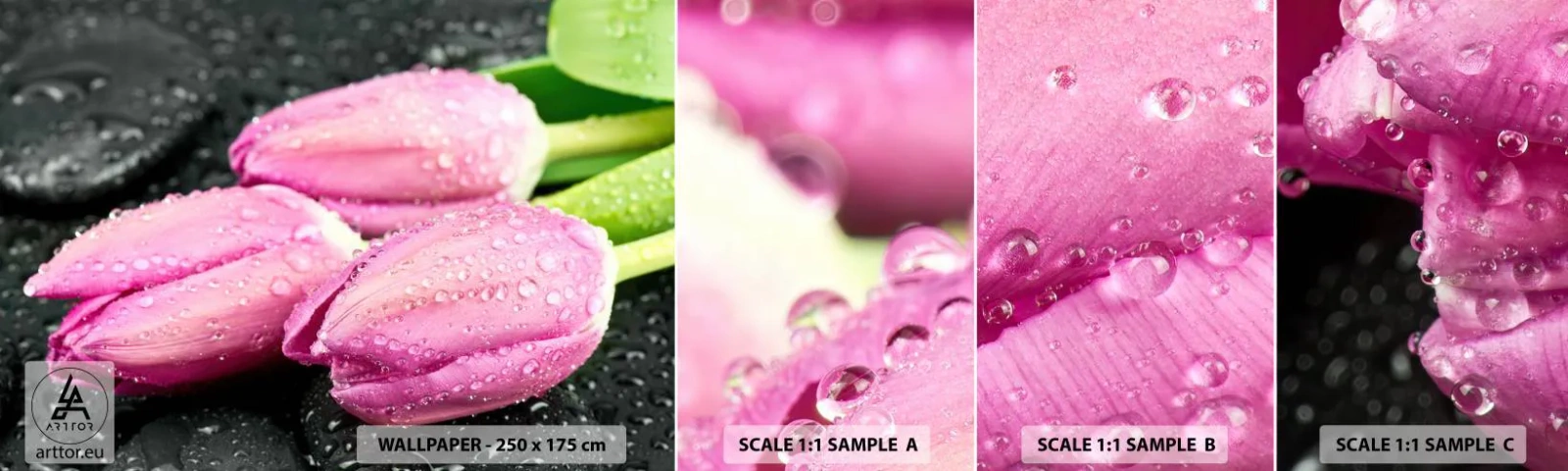 Photo Wallpaper Sample Standard Eco - Three Lilacs on a Black Stone - Flowers, Tulips, Bouquet of flowers - 100x30 cm