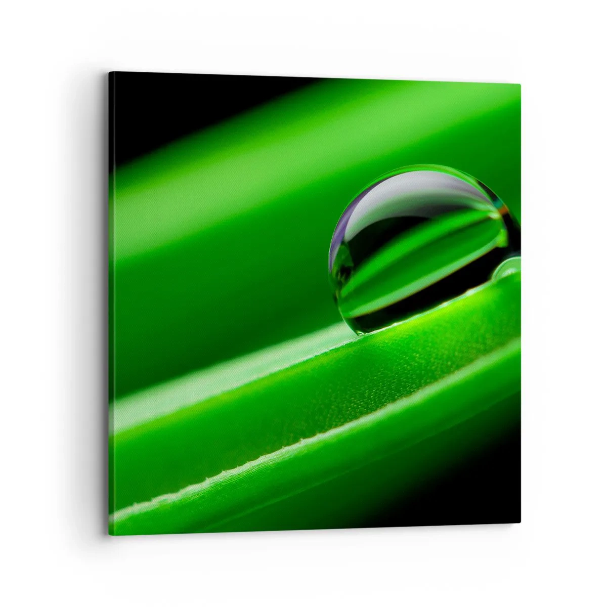 Canvas picture - Life from a Close-Up - 70x70 cm