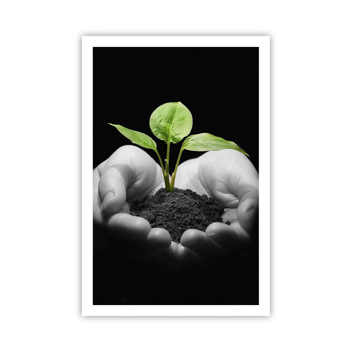 Poster - I Love Nature, I Protect It - 61x91 cm