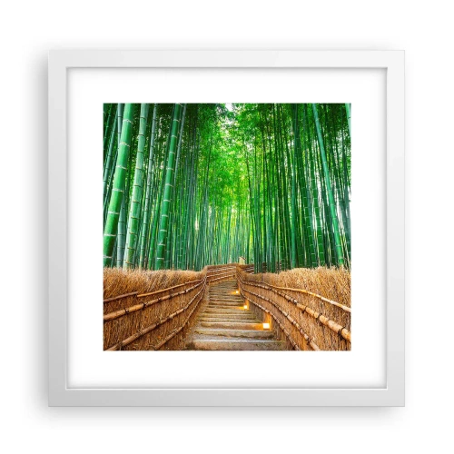 Poster in white frmae - Essence of Asian Nature - 30x30 cm