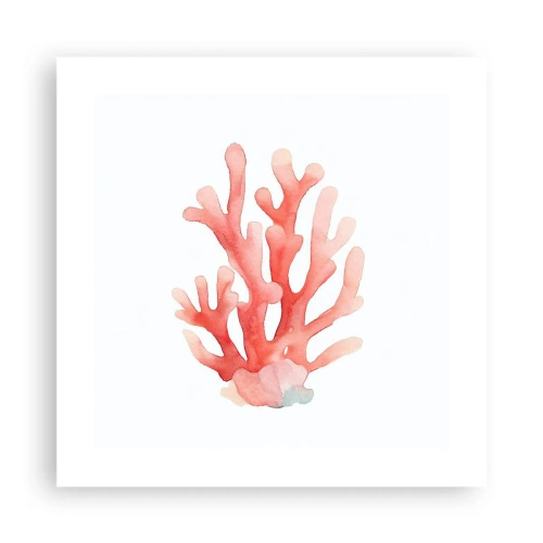 Poster - Coral Colour Colars - 40x40 cm