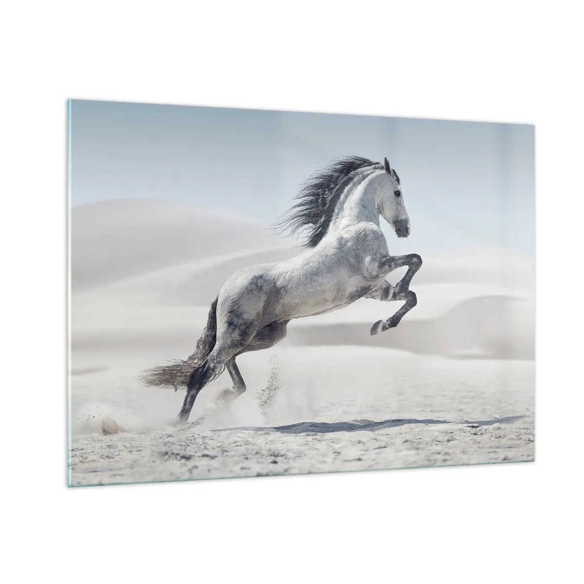 Glass picture - Arabic Prince - 100x70 cm