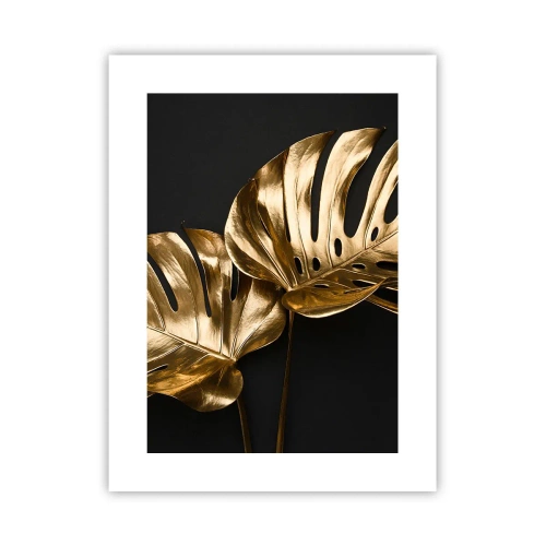 Poster - Tresaures of Nature - 30x40 cm