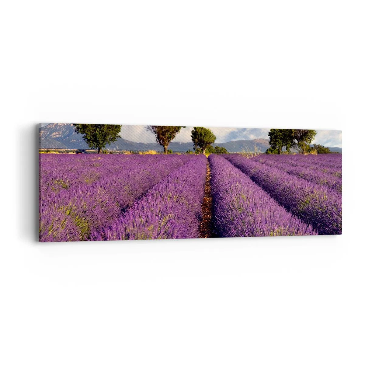 Canvas picture - Lavender Fields - 90x30 cm