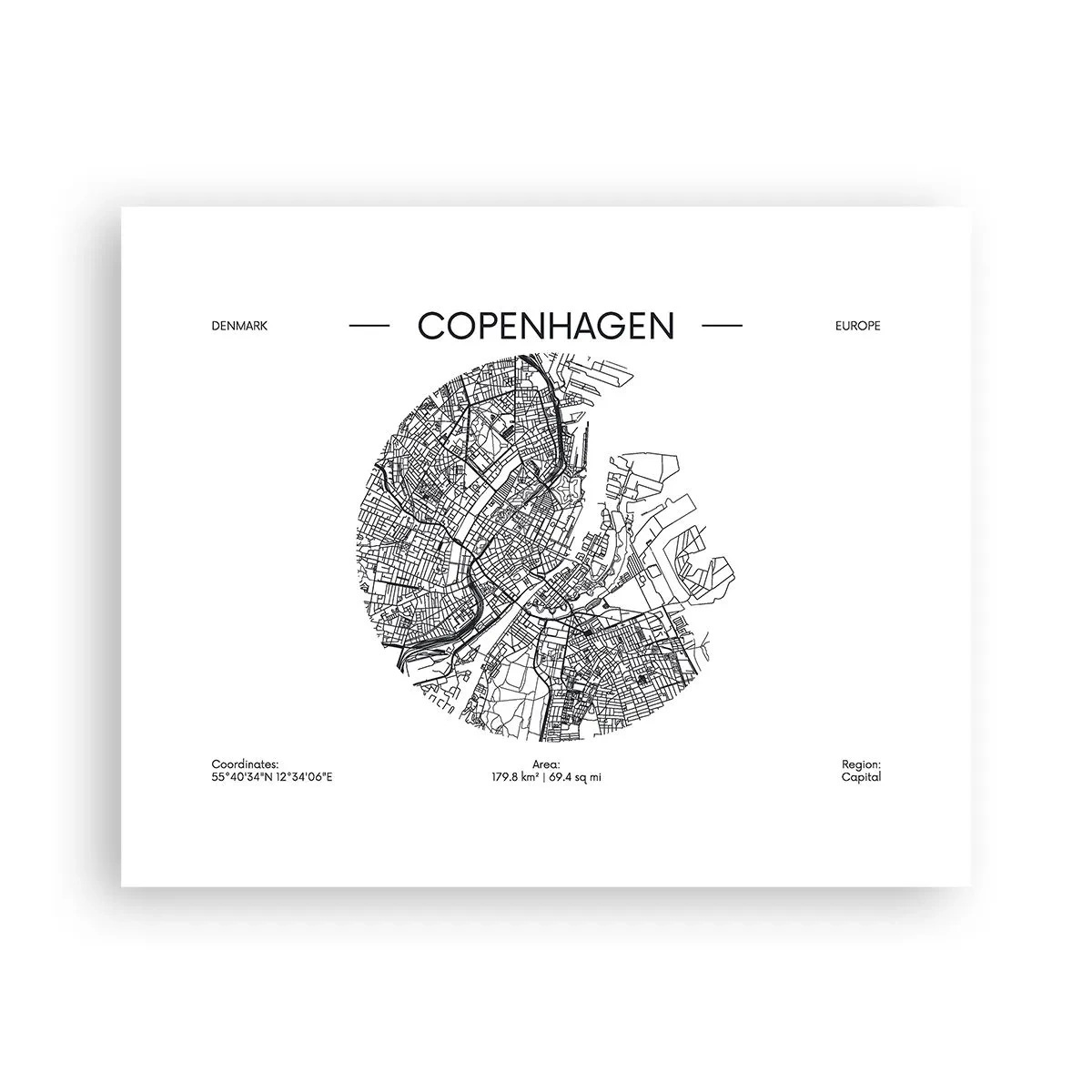 Poster - Anatomy of Copenhagen - 50x40 cm