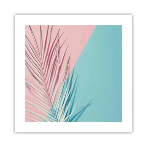 Poster - Tropical impression - 40x40 cm