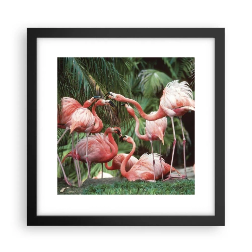 Poster in black frame - Afternoon Gossip - 30x30 cm