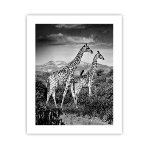 Poster - Higher Spheres in Africa - 40x50 cm